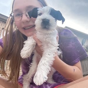 Meet your Posher, Annabelle